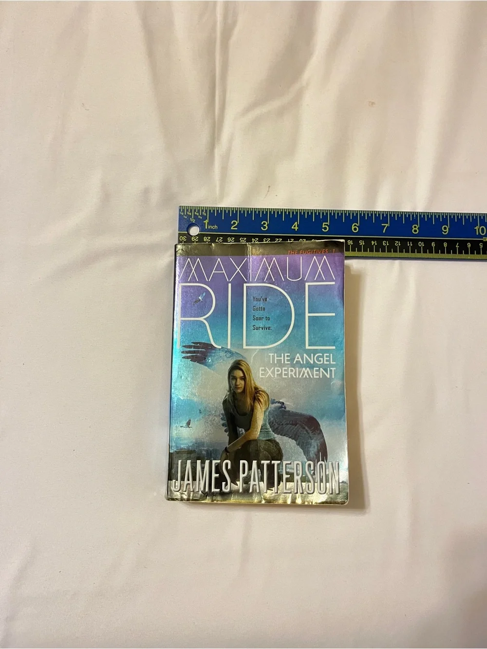 Maximum ride maximum ride
